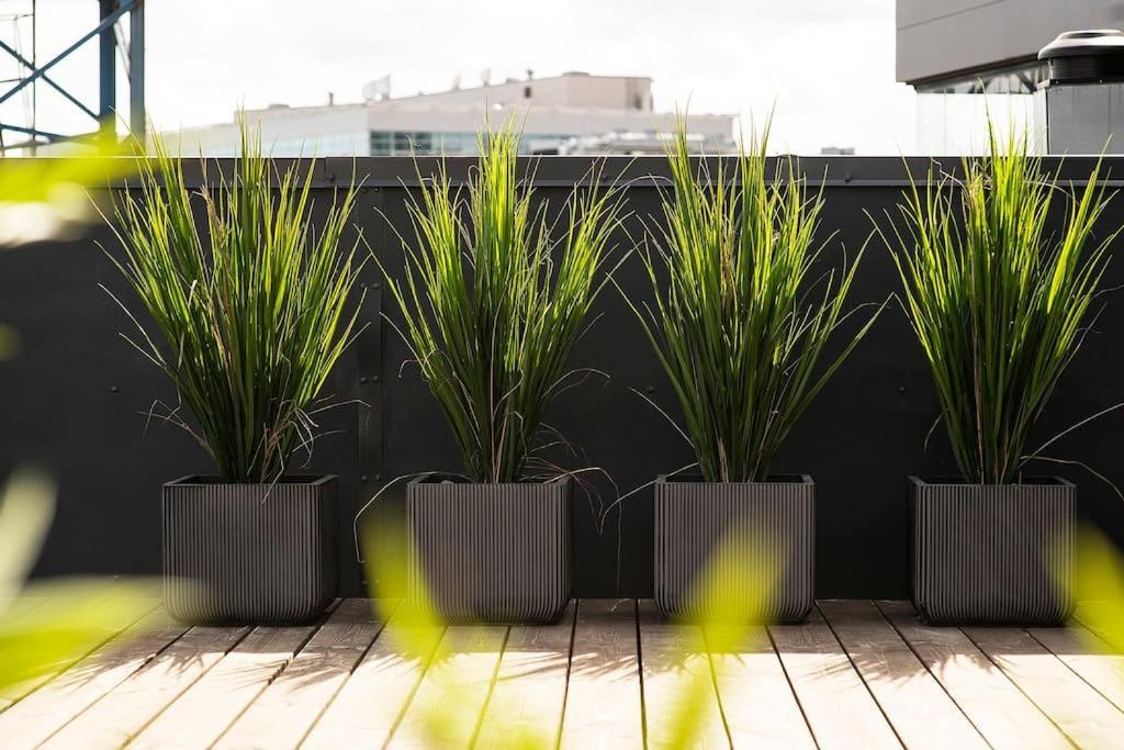 W Apartments Uus-Hollandi With Sauna Tallinn Eksteriør billede